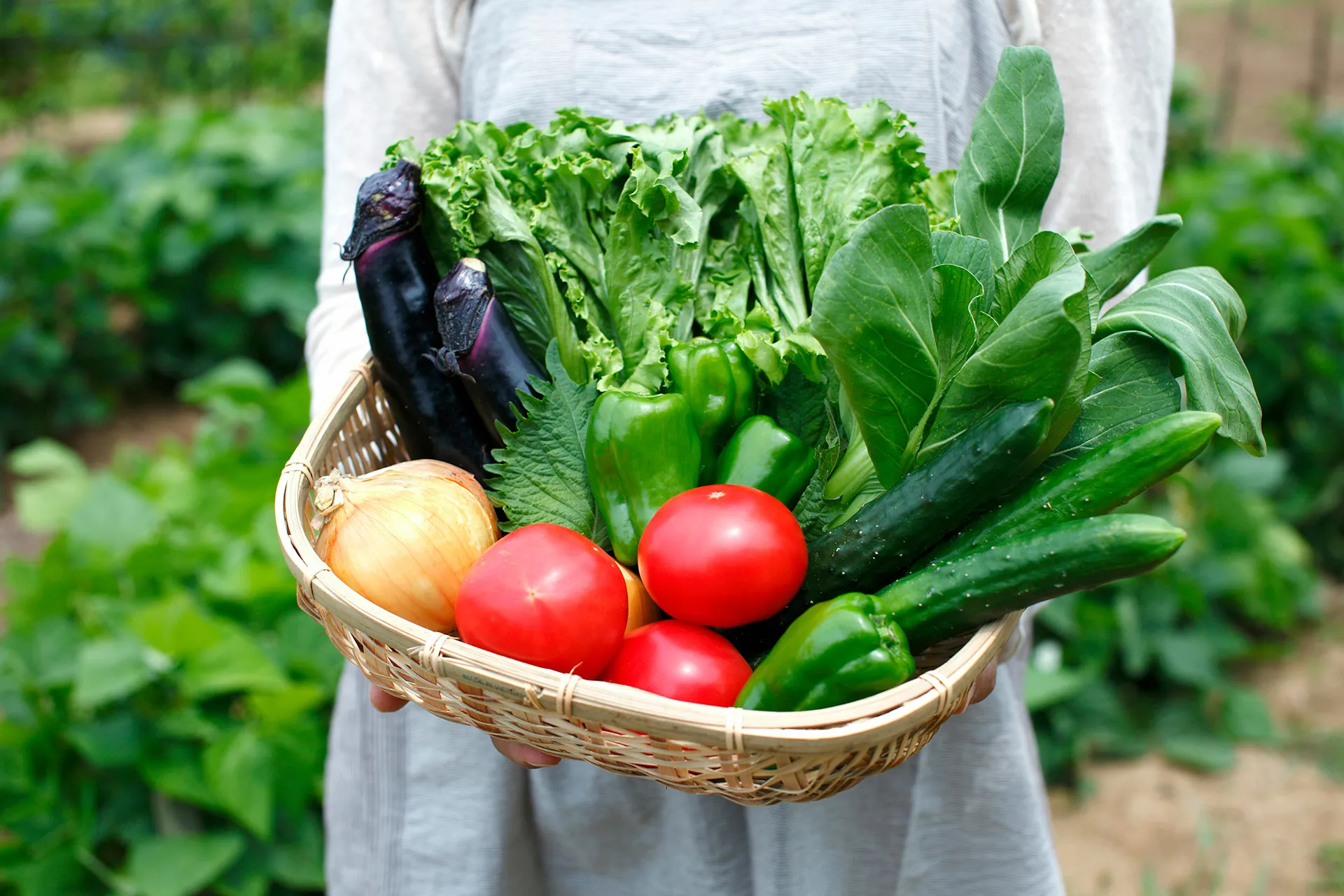 大協肥糧株式会社